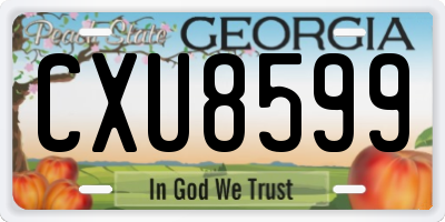 GA license plate CXU8599
