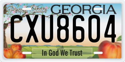 GA license plate CXU8604