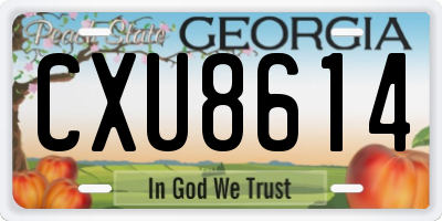 GA license plate CXU8614