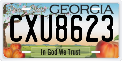 GA license plate CXU8623