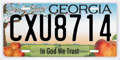 GA license plate CXU8714