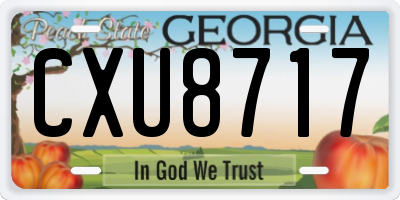 GA license plate CXU8717