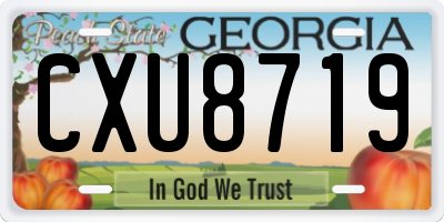 GA license plate CXU8719