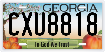 GA license plate CXU8818