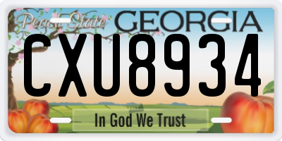 GA license plate CXU8934