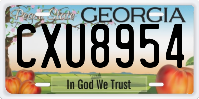 GA license plate CXU8954