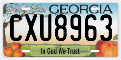 GA license plate CXU8963