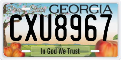 GA license plate CXU8967