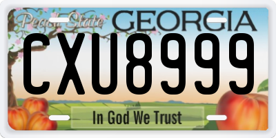 GA license plate CXU8999