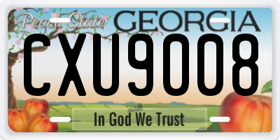 GA license plate CXU9008