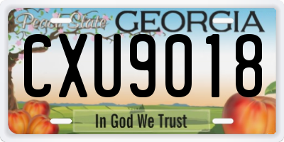GA license plate CXU9018