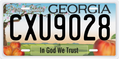 GA license plate CXU9028