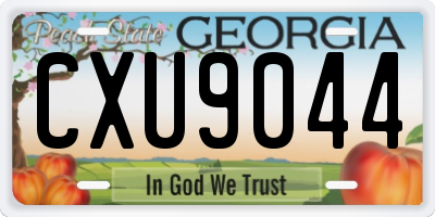 GA license plate CXU9044