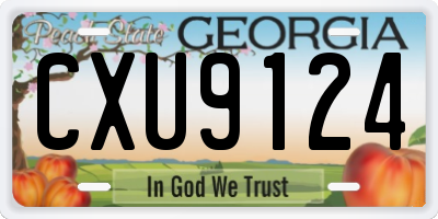 GA license plate CXU9124