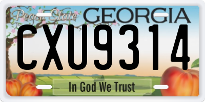GA license plate CXU9314