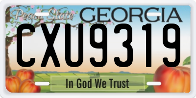 GA license plate CXU9319