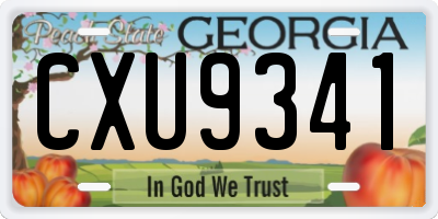 GA license plate CXU9341