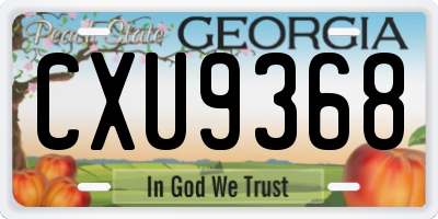 GA license plate CXU9368