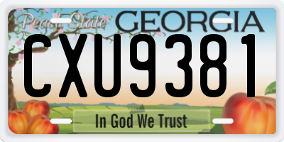 GA license plate CXU9381