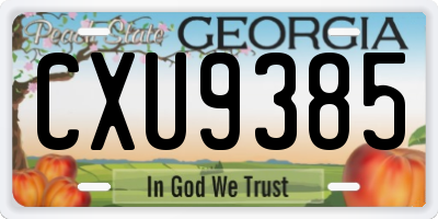 GA license plate CXU9385