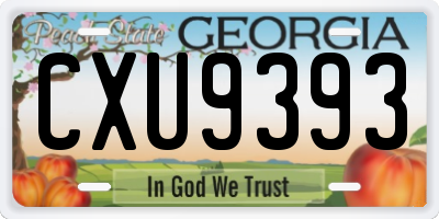 GA license plate CXU9393