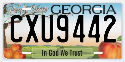 GA license plate CXU9442