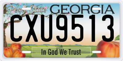 GA license plate CXU9513