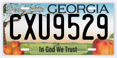 GA license plate CXU9529