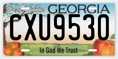 GA license plate CXU9530