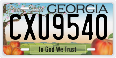 GA license plate CXU9540