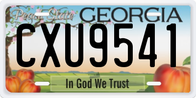 GA license plate CXU9541