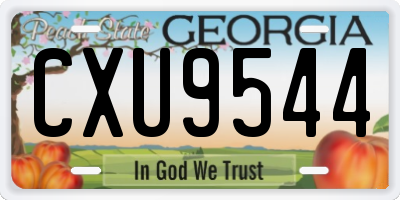 GA license plate CXU9544