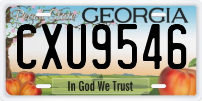 GA license plate CXU9546