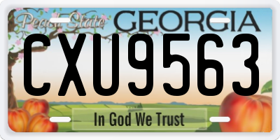 GA license plate CXU9563