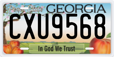 GA license plate CXU9568