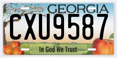 GA license plate CXU9587