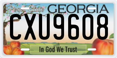 GA license plate CXU9608