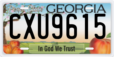 GA license plate CXU9615