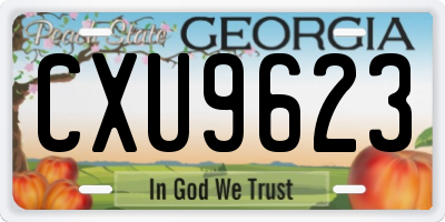 GA license plate CXU9623
