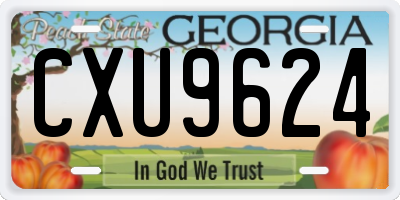 GA license plate CXU9624