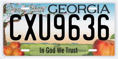 GA license plate CXU9636