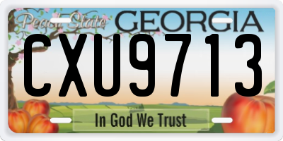 GA license plate CXU9713