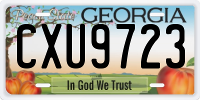 GA license plate CXU9723