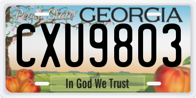 GA license plate CXU9803