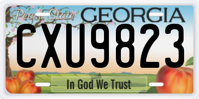 GA license plate CXU9823