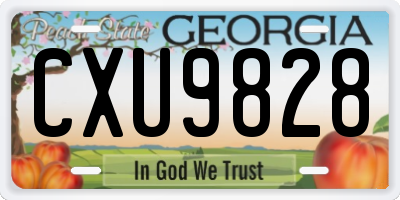 GA license plate CXU9828