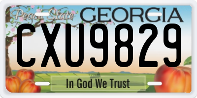GA license plate CXU9829