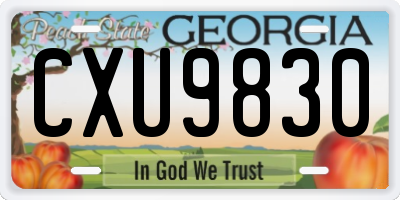 GA license plate CXU9830
