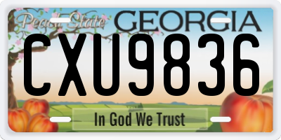 GA license plate CXU9836