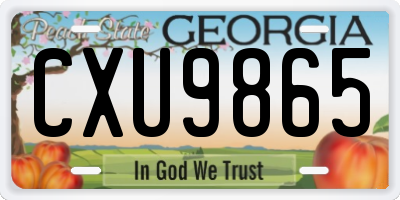 GA license plate CXU9865